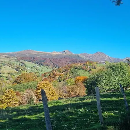 Duplex Le Randonneur - Les Du Sancy Apartment
